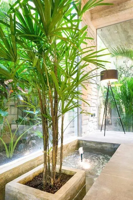 Villa Nimi: Architectural Gem with Private Pool & Concierge Tulum